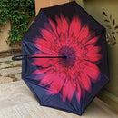 Ομπρέλα μεγάλη φούξια μαύρο